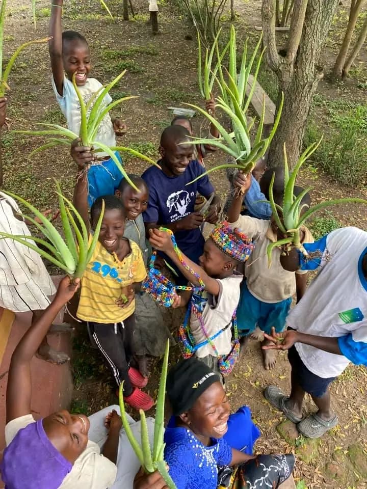 We Educating children the importance of growing aleo vera at home 