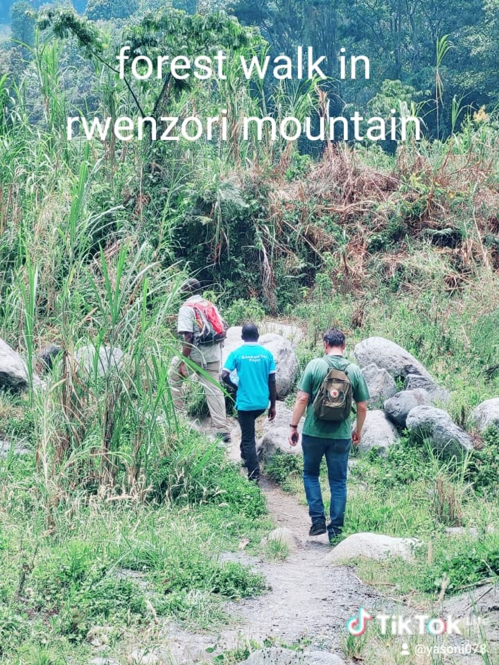Hiking tour experience 
